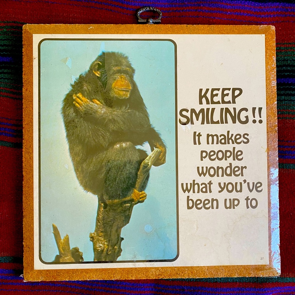 VTG 77’ Monkeydoin’s New and Sealed Plaque Cork Style Picture Art. 9”x9”